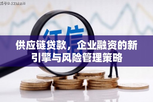 丰顺供应链贷款，企业融资的新引擎与风险管理策略