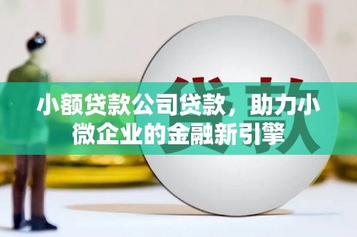 汾阳小额贷款公司贷款，助力小微企业的金融新引擎