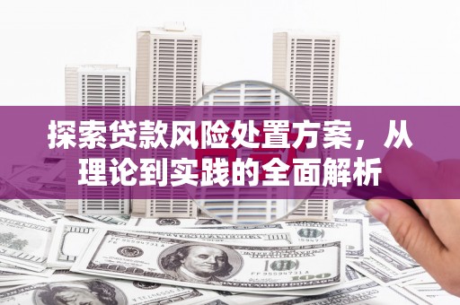 义竹探索贷款风险处置方案，从理论到实践的全面解析