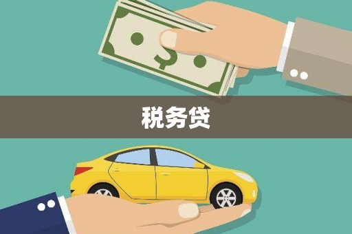 阳朔税务贷