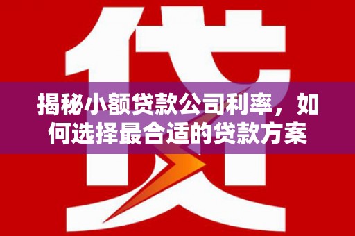 青州揭秘小额贷款公司利率，如何选择最合适的贷款方案