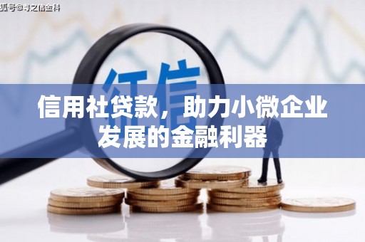 石排信用社贷款，助力小微企业发展的金融利器