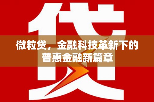 嘉荫微粒贷，金融科技革新下的普惠金融新篇章