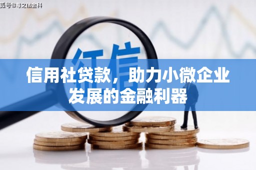 大埤信用社贷款，助力小微企业发展的金融利器