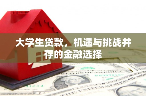 狮子大学生贷款，机遇与挑战并存的金融选择