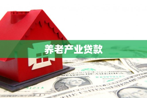 文峰养老产业贷款
