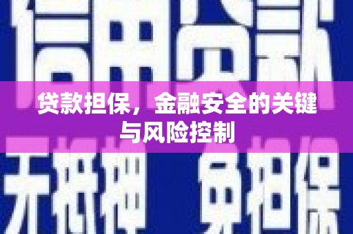 托克逊贷款担保，金融安全的关键与风险控制