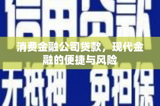 凌海消费金融公司贷款，现代金融的便捷与风险