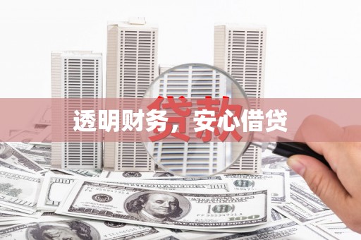 阜城透明财务，安心借贷