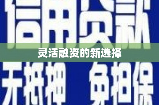 额济纳旗灵活融资的新选择