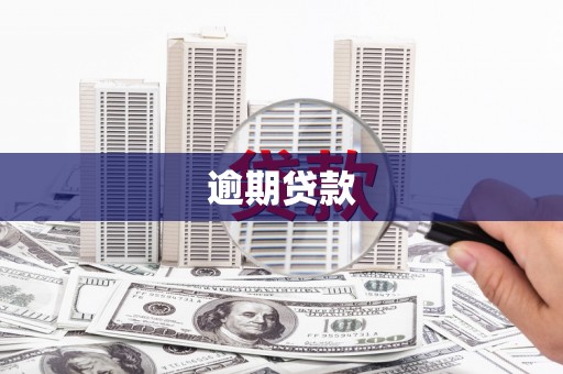 宁远逾期贷款