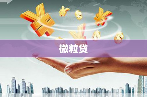 八宿微粒贷