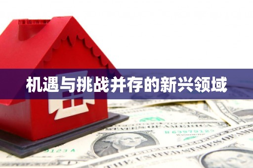 红星机遇与挑战并存的新兴领域