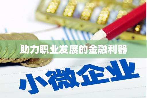 西海岸助力职业发展的金融利器