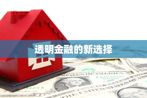 修武透明金融的新选择