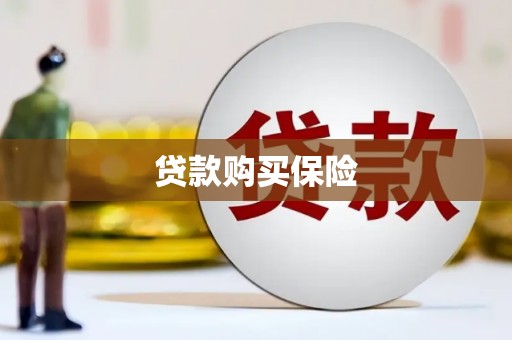 玉树贷款购买保险