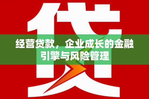 泰顺经营贷款，企业成长的金融引擎与风险管理